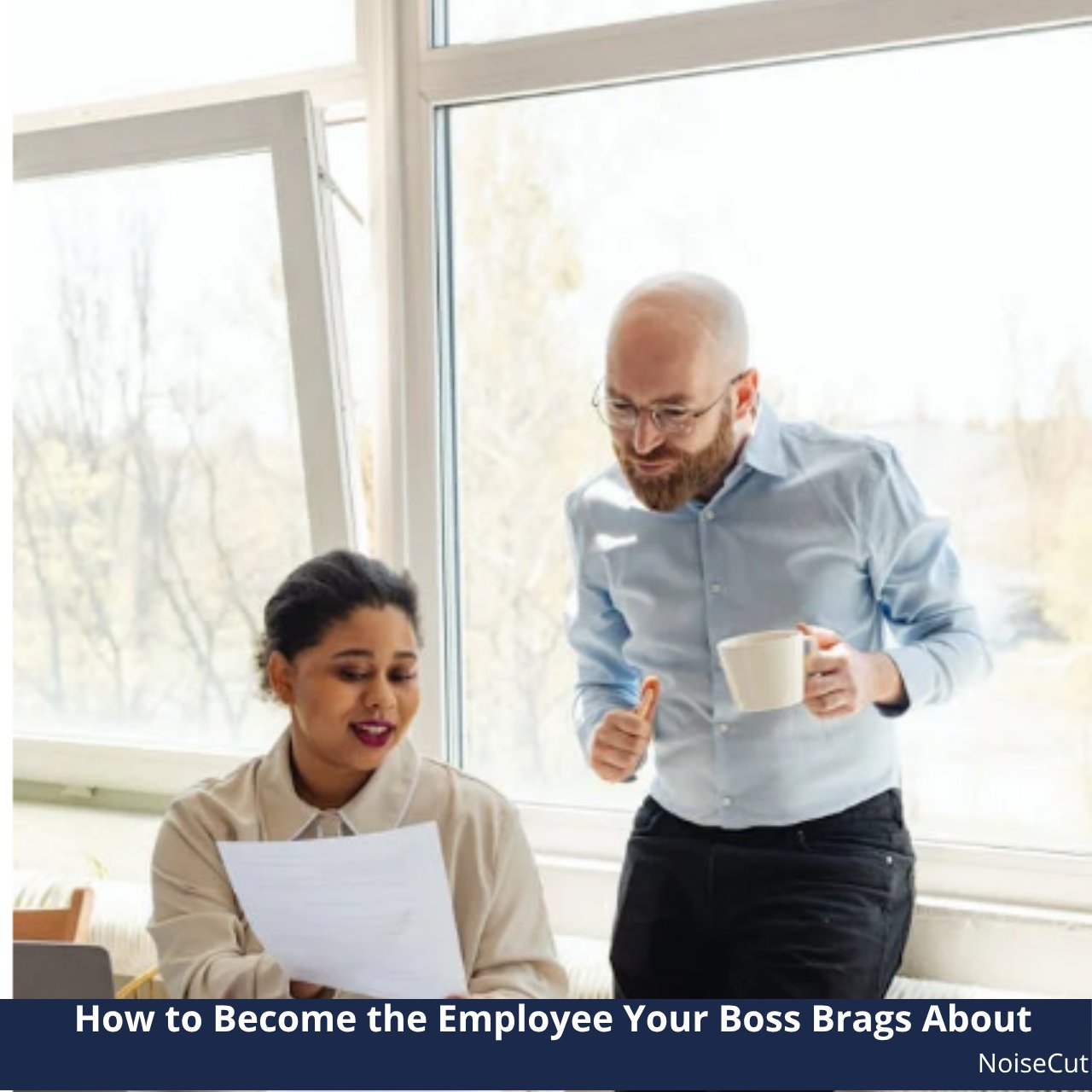 Employee presenting ideas to manager — NoiseCut